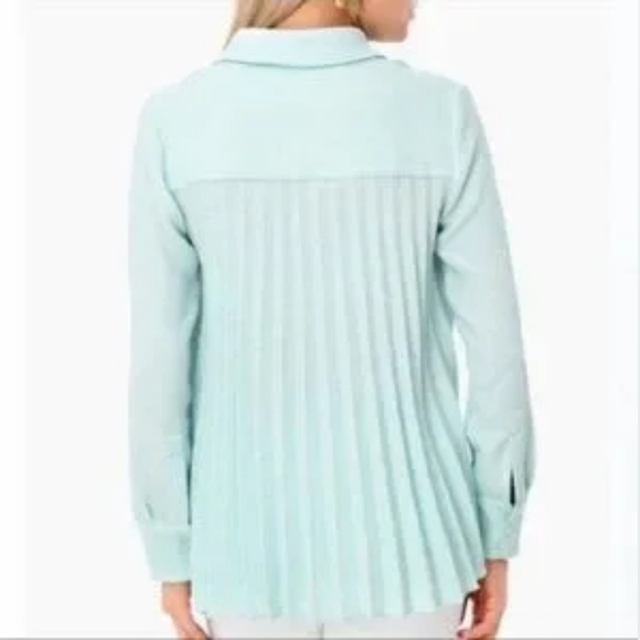 Tuckernuck Adele Sea Glass Textured Pleated Swing Back Button Up Blouse Top - Picture 2 of 10